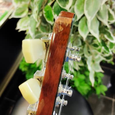 Gibson Les Paul Traditional 2013 Heritage Cherry Sunburst Guitar - Left Handed image 24
