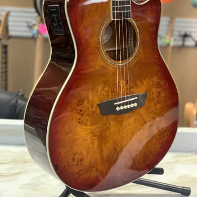 Washburn Deep Forest Burl ACE 2020s - Amber Fade image 2