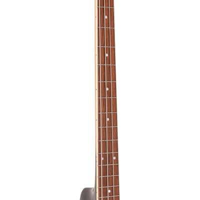 Gold Tone PBB Paul Beard Signature Series Mahogany Top Maple Neck Reso 4-String Bass Guitar w/Hard Case image 9