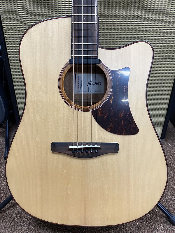 Ibanez AE Series AAD300CE LGS Acoustic Guitar – Music