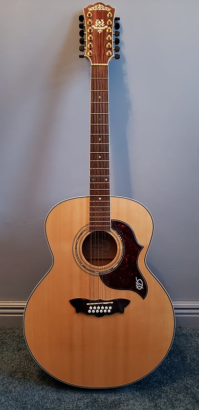 Washburn cumberland store 12 string