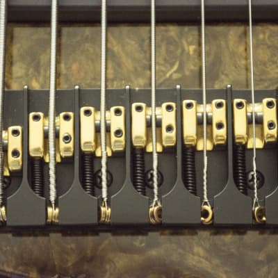 Roscoe Signature 6 Bass 6 String Fretless Burled Top Like New Burled Top image 5