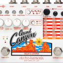 Electro-Harmonix Grand Canyon Delay and Looper