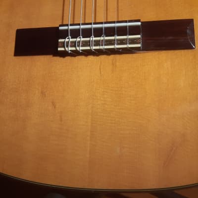 Dorado 6028 Classical Guitar by Gretsch 1970s Japan image 19