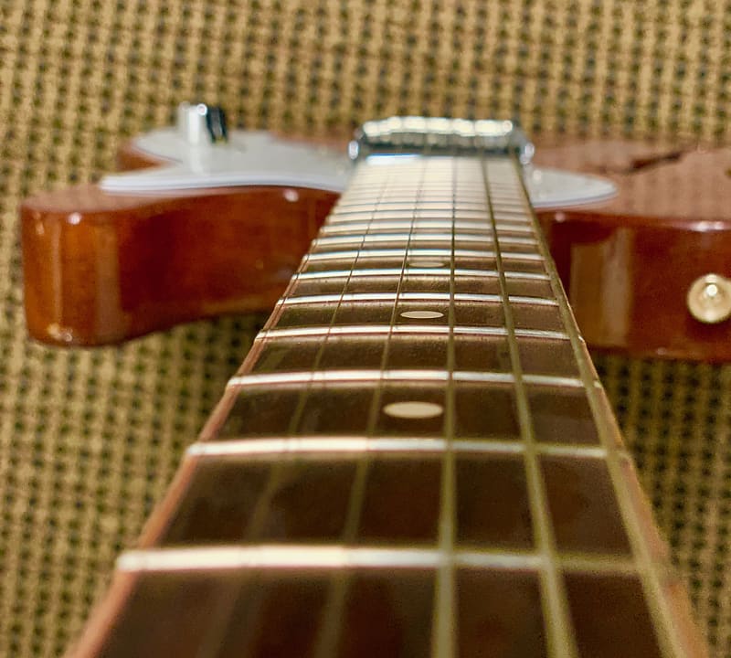 Fender Channel Bound Neck and 69 Thinline Reissue Natural image 1