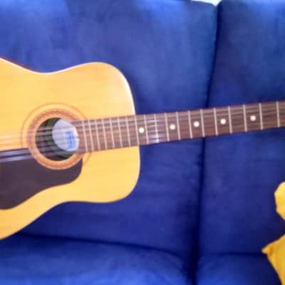 Di Giorgio 12-string acoustic guitar Year 1975    - Natural for sale