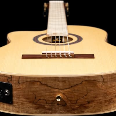 Signature Series Thomas Zwijsen Left-Handed Acoustic-Electric Nylon Classical Guitar w/ Bag for sale