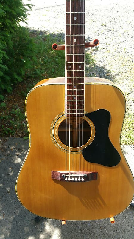 Madeira Guild Acoustic A30R  Back And Sides image 1