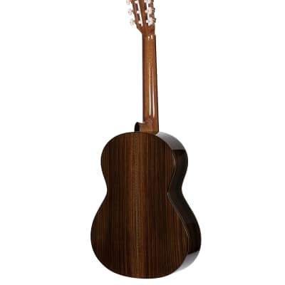 Alvarez Yairi CY75 -  Yairi Standard Series Classical Guitar Natural - Hardshell Case Included - image 5