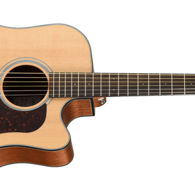 Walden Supranatura G2070 all solid wood acoustic guitar with hard 