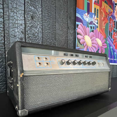 Ampeg SVT-VR (VRU) + Flight Case Thon + Lampes neuves (Sovtek matched) image 3