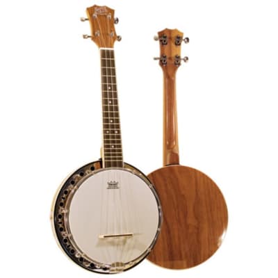 Barnes and Mullins UBJ1 Ukulele Banjo for sale