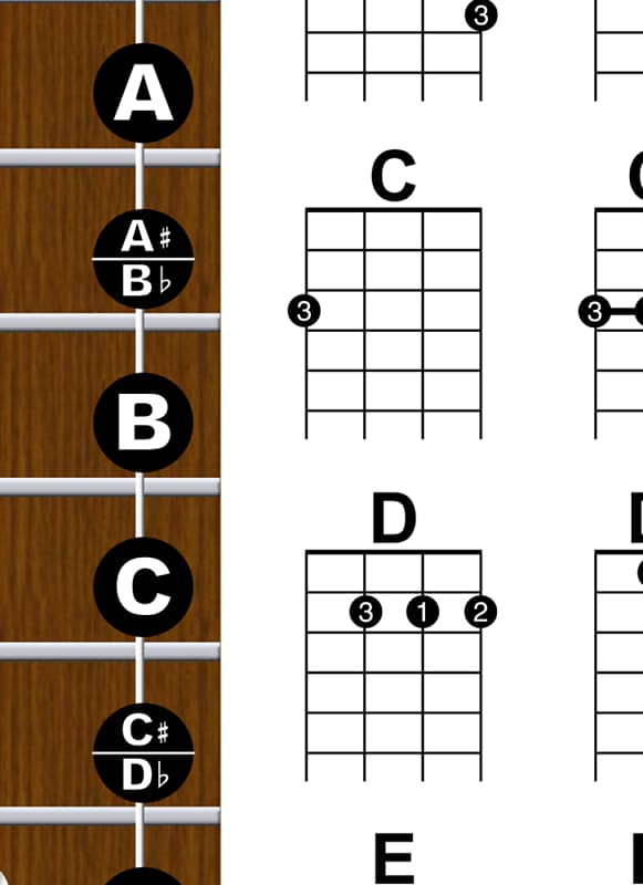 Laminated Ukulele Fretboard Notes & Easy Beginner Chord Chart 11x17  Instructional Poster for Soprano Concert Tenor Uke by A New Song Music