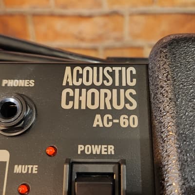 Roland AC-60 Acoustic Chorus 2-Channel 60-Watt 2x6.5" Acoustic Guitar Combo w/ Carrying Bag image 6