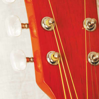 Indiana COLT Standard Size 36-Inch Spruce Top 6-String Acoustic Guitar w/Gig Bag image 9