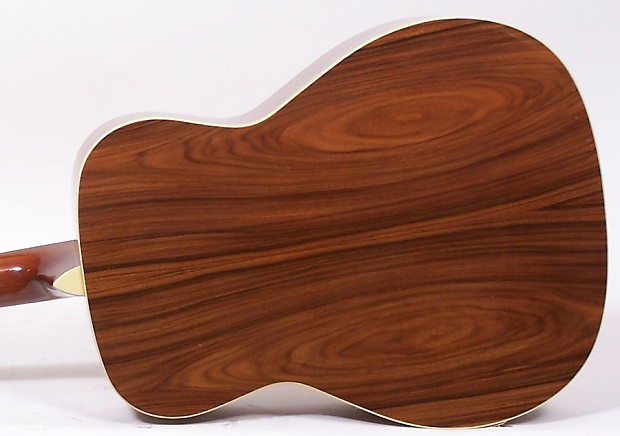 Takamine g501s store