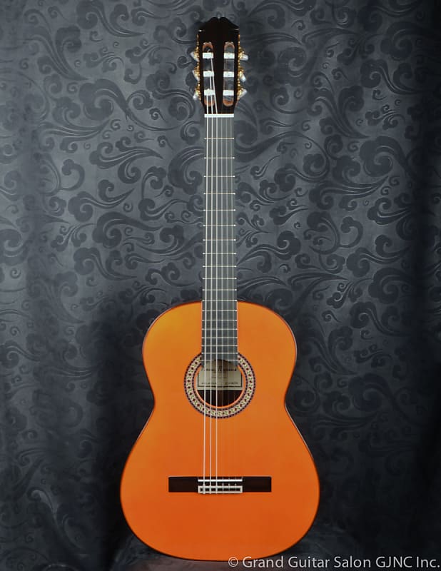 Raimundo Flamenco  Guitar  Model 145 Negra !!! image 1