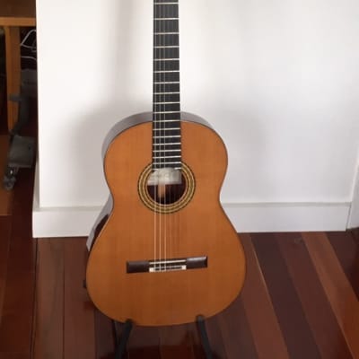 Salvador Castillo Flamenco Guitar Cedar/Palo Escrito 2015 French Polish image 1