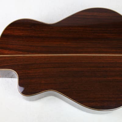 RARE Lucio Nuñez 10-String Classical Harp Guitar w/Cutaway, Arm Rest, Sound Port, Cedar/Cocobolo, TKL Hardshell Case image 2