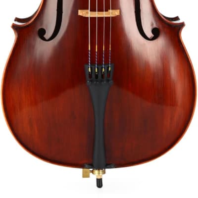 Eastman VC305 Andreas Eastman Intermediate Cello - 1/2 Size for sale