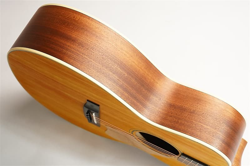 K.Yairi VINCENT VM-30 Blues [RG] | Reverb