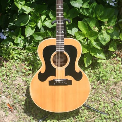 Morris 希少WJ-25ブラック エバリーブラザーズ ジャパンビンテージ Morris 希少WJ-25ブラック エバリーブラザーズ ジャパンビンテージ