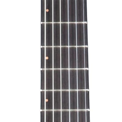 Breedlove Solo Pro Concert CE Nylon Acoustic Electric Guitar Edgeburst Red Cedar African Mahogany image 6