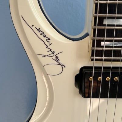 Gary Kramer Original Guitars Custom 2009 image 8