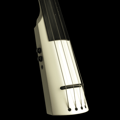 NS Design NXT5 Electric Upright Bass | Reverb