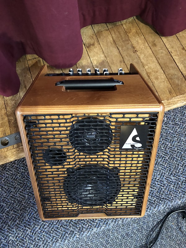 Godin 2024 acoustic amp