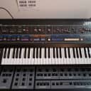 Roland Jupiter 6 61-Key Synthesizer with Europa Mod 1983 - 1985 - Black