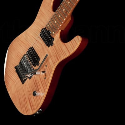 Harley Benton Fusion-III HH FR Roasted FNT Natural | Reverb