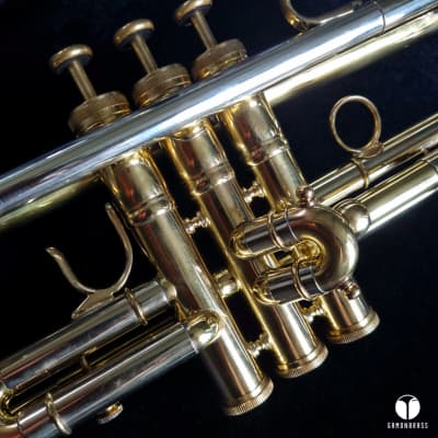 D. Calicchio 1s7 ML Sterling Silver leadpipe trumpet case gamonbrass image 6