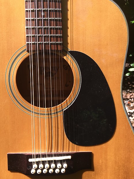 Bentley 12 shop string guitar