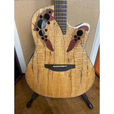 Ovation CELEBRITY ELITE CE44P-SM-G PLUS SPALTED MAPLE OVATION | Reverb