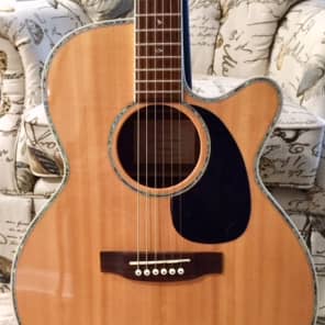 Takamine eg 460 sc new arrivals