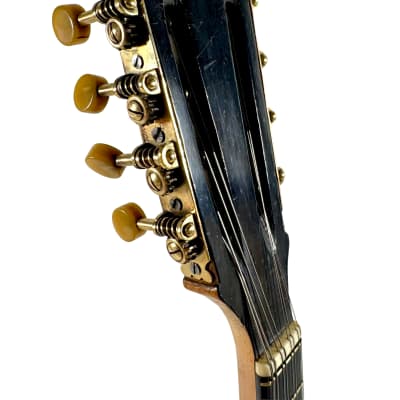 Concert Mandolin Flat-Back Emanuele Egildo N°840 from 1927 image 15