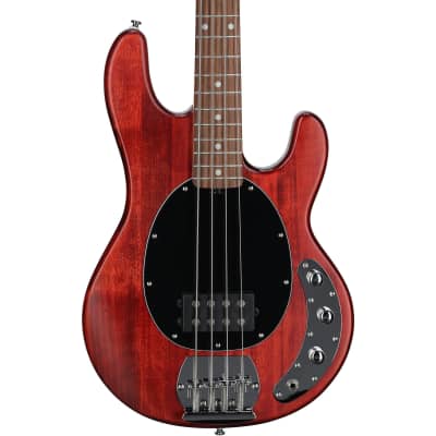 Sterling by Music Man StingRay Electric Bass, Walnut Satin for sale