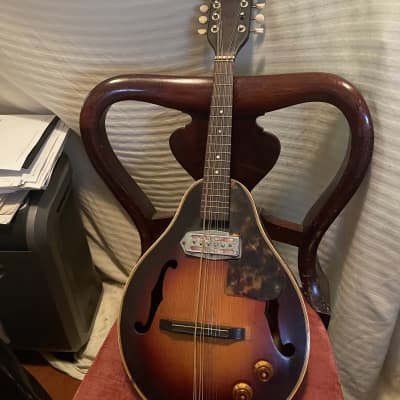 norma  mandolin.  project sunburst image 1