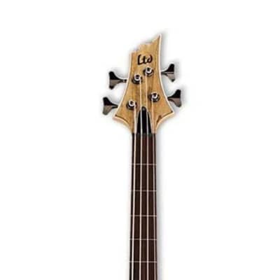 ESP LTD B-204SM Fretless Bass Guitar image 4