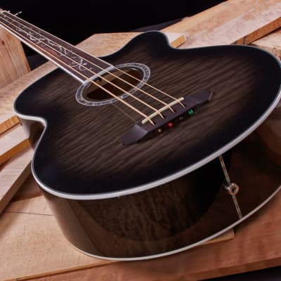 Michael Kelly Dragonfly 4 Fretless Acoustic Bass Guitar, Smoke Burst Finish MKD4 for sale