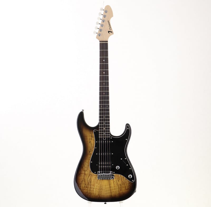 T'S GUITARS / DST-22 Classic Spalted Maple 2TS [030969] [09/24