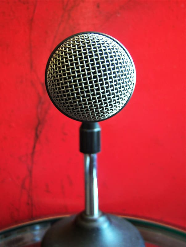 AKG D 8000 S Dynamic Hypercardioid Microphone | Musician's