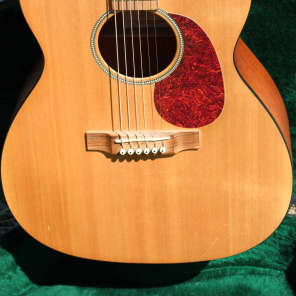 Martin jm mahogany jumbo top