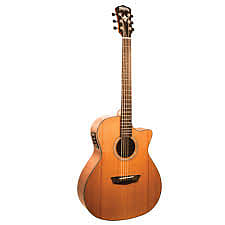 Washburn Woodline WLG110SWCEK All Wood Acoustic Electric Guitar image 1
