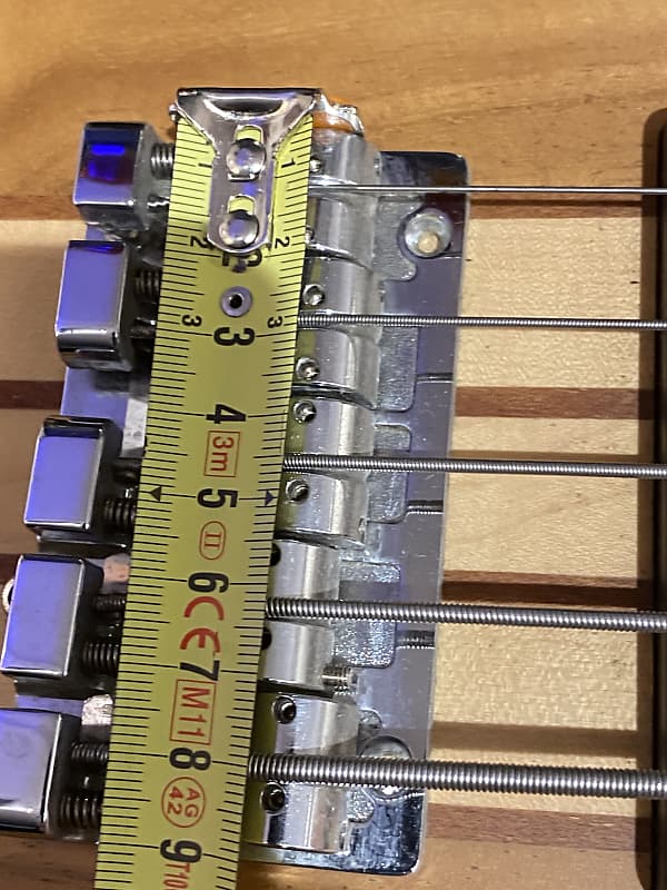 Raven West Guitars RBS 5500 LEFTY 5 STRINGS | Reverb