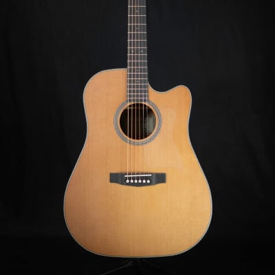Dowina Rustica DC Acoustic Guitar (Dreadnaught Cutaway) for sale