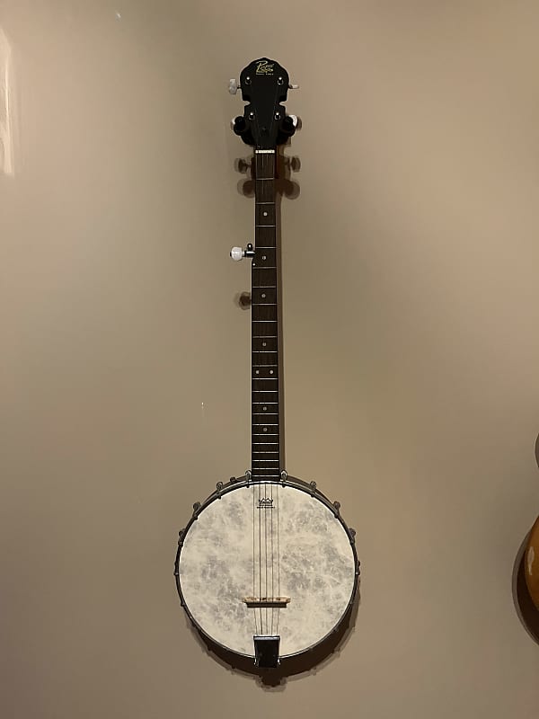 rogue travel banjo