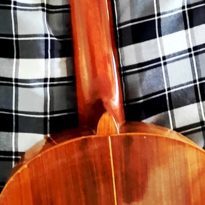 GIANNINI GN-60 CLASSICAL-FOLK 1960’s-NATURAL WOODS, NEEDS TLC AND EXPERT LUTHIER'S HANDS image 18