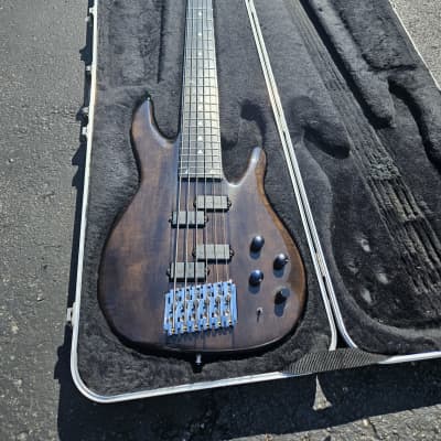 Peavey TL-Six 6 string bass, Bartolini upgrade image 11
